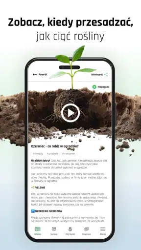 Plantis – Pielęgnacja roślin