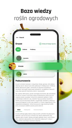 Plantis – Pielęgnacja roślin