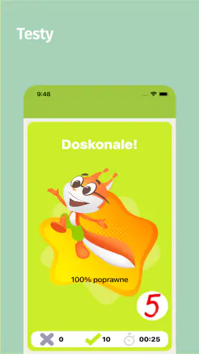 Polska ortografia