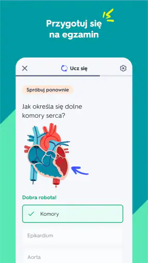 Quizlet: fiszki do nauki