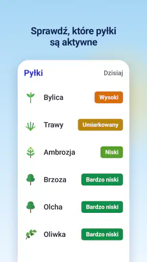 Radar opadów - Pogoda 14 dni