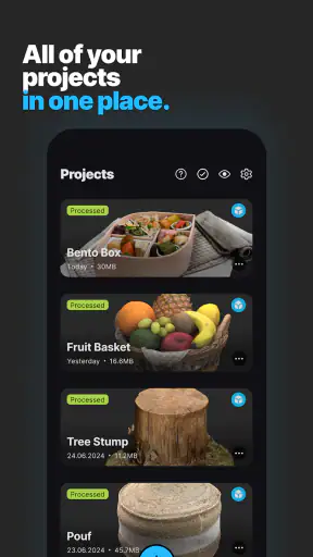 RealityScan Mobile