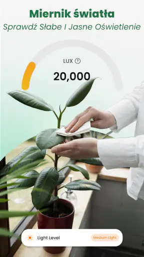 Rośliny Rozpoznawanie: AI
