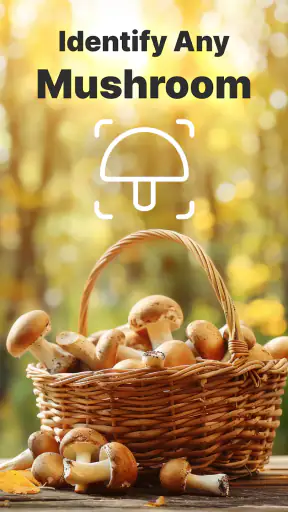Rozpoznawanie grzybów zdjęciem