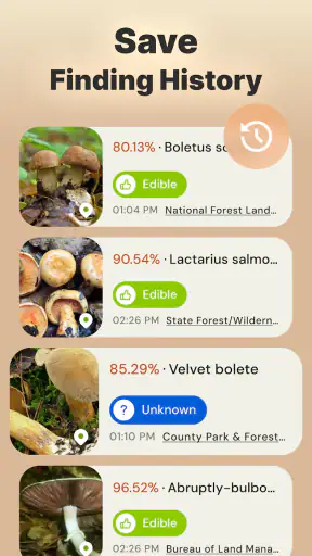 Rozpoznawanie grzybów zdjęciem