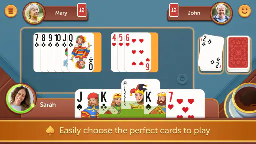 Rummy Fun & Friends
