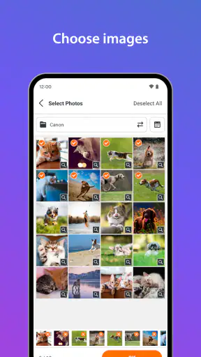 SELPHY Photo Layout