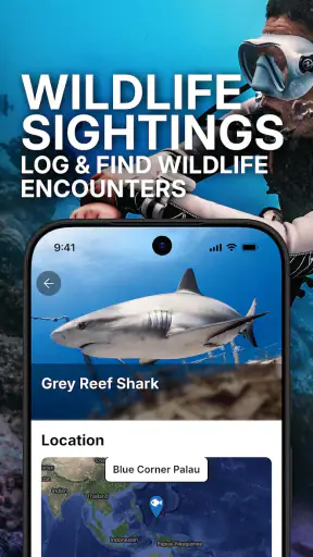 SSI App - Education and Fun