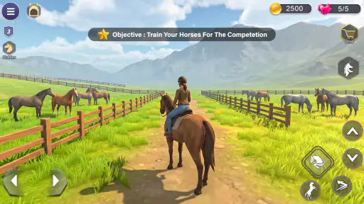 Stable horse Care: Dream Ranch