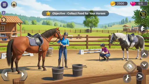 Stable horse Care: Dream Ranch