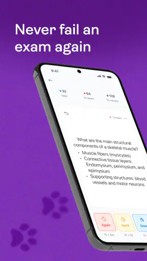 Studyflash: Fiszki z AI
