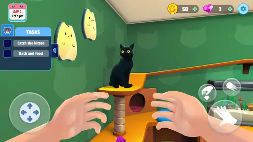 Symulator Kota: Moje Zwierzęta