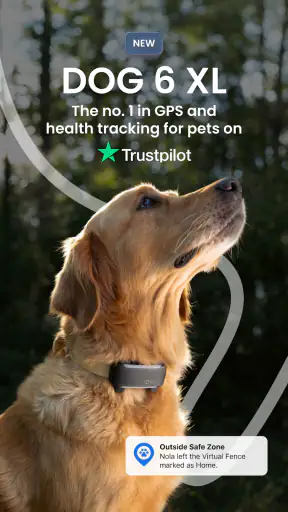Tractive GPS dla kotów i psów