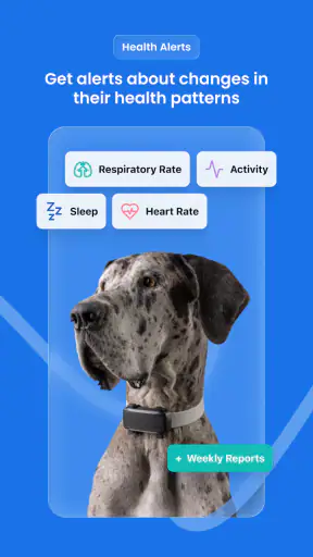 Tractive GPS dla kotów i psów