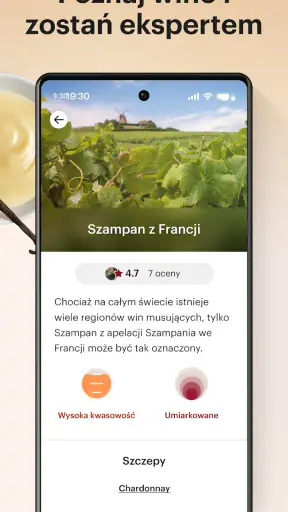 Vivino: Kupuj dobre wino