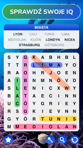 Wykreślanka - Word Search