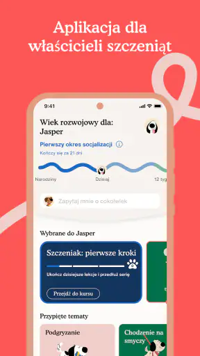 Zigzag - Trening szczeniąt