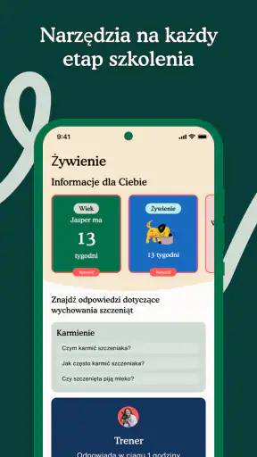 Zigzag - Trening szczeniąt