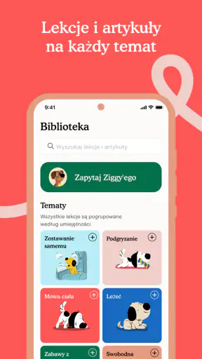 Zigzag - Trening szczeniąt