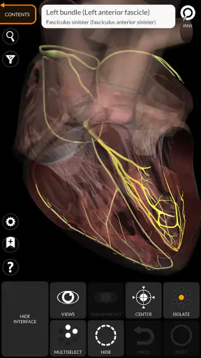 Anatomy 3D Atlas