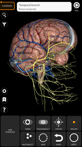 Anatomy 3D Atlas