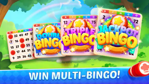 Bingo Frenzy - เกมบิงโกสด