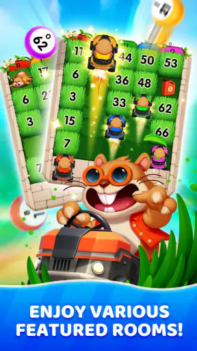 Bingo Voyage: บิงโกสด