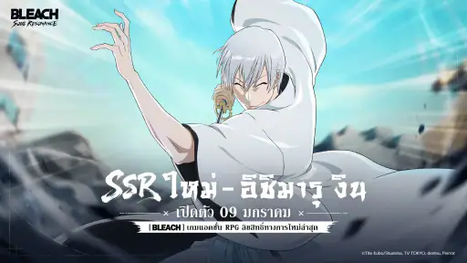 BLEACH: Soul Resonance