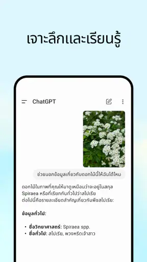 ChatGPT