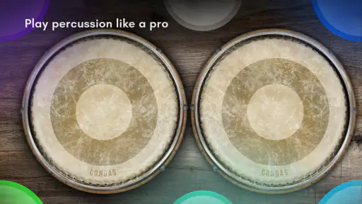 Congas & Bongos: เครื่องกระทบ