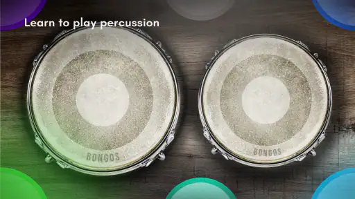 Congas & Bongos: เครื่องกระทบ