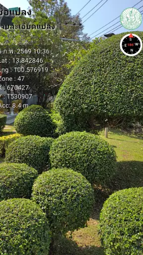 DOAECam