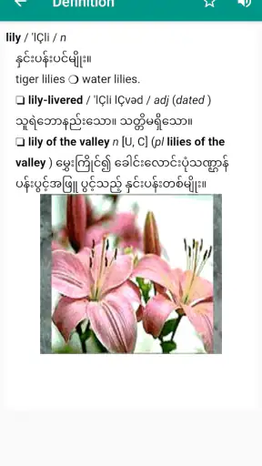 Eng-MM Dictionary
