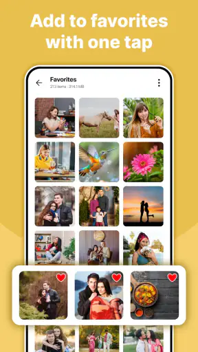 Gallery - Photo Album