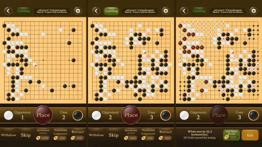 Go Baduk Weiqi master