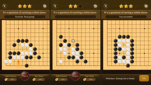 Go Baduk Weiqi master