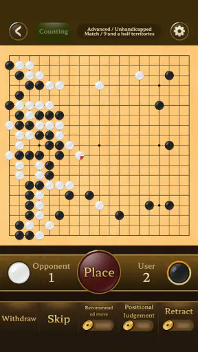 Go Baduk Weiqi master