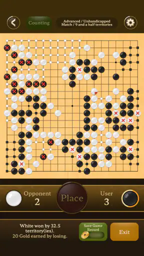 Go Baduk Weiqi master