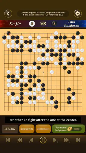 Go Baduk Weiqi master