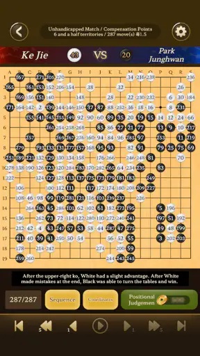 Go Baduk Weiqi master