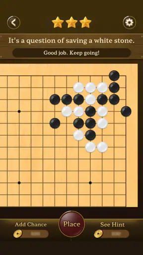 Go Baduk Weiqi master
