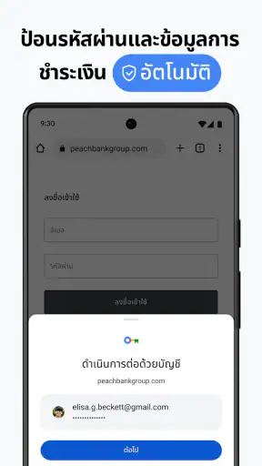 Google Chrome