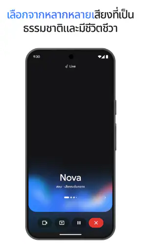 Google Gemini