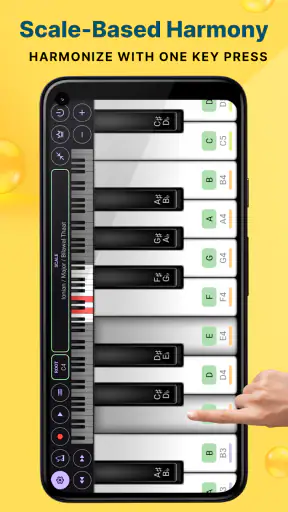 Grand Piano and Keyboard