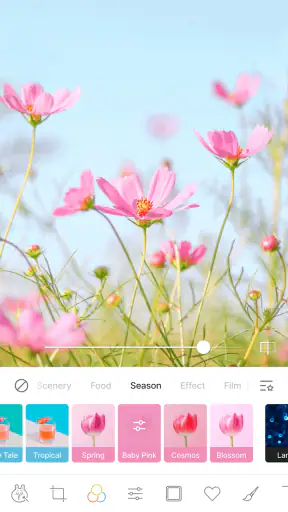 LINE Camera - แอพแต่งรูป