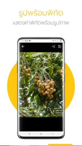 Ling - แอปเพื่อการเกษตรดิจิทัล