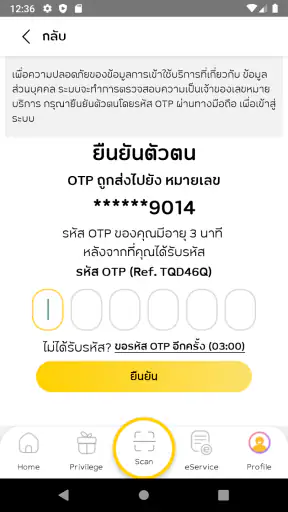 NT easy life+