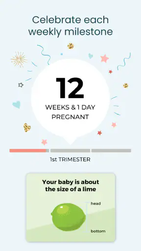 Pregnancy App & Baby Tracker