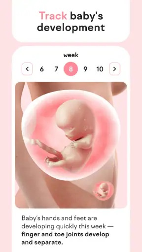 Pregnancy Tracker: amma