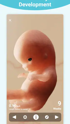 Pregnancy + | Tracker App